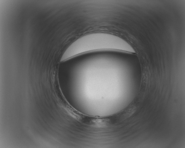 X0000081410558200701120921