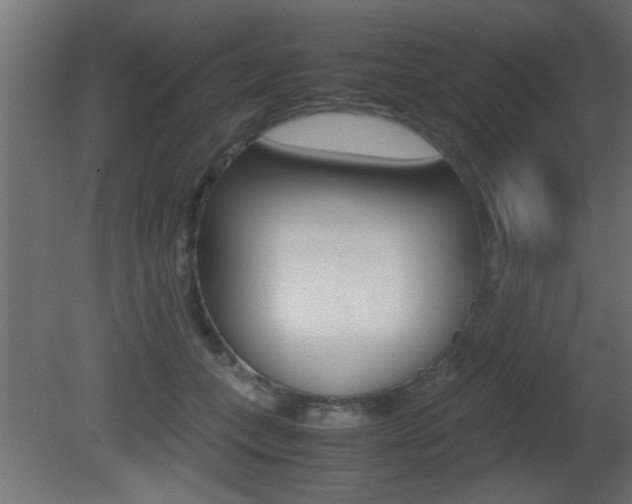 X0000081410559200701120921