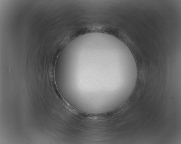 X0000081410561200701120921