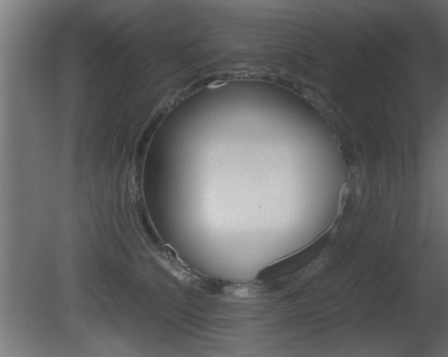 X0000081410564200701120921