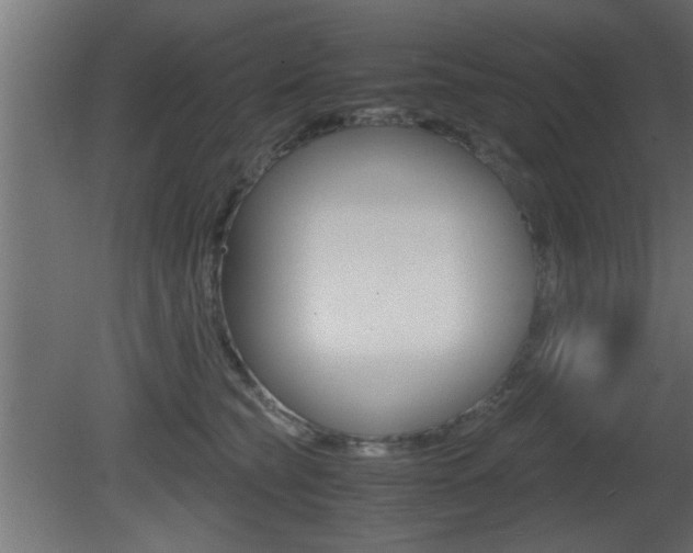 X0000081410565200701120921