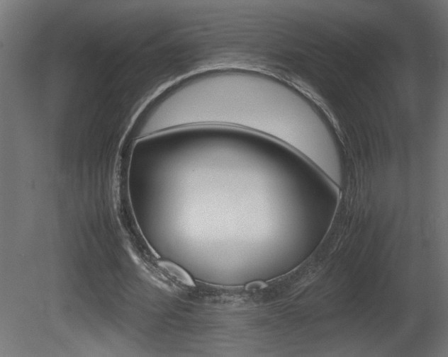 X0000081410580200701120920