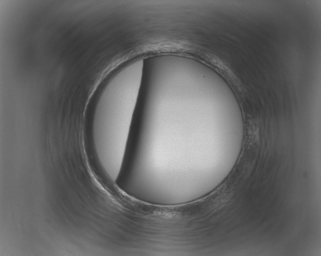 X0000081410582200701120920
