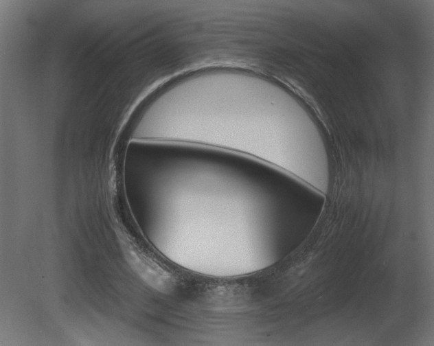 X0000081410584200701120920