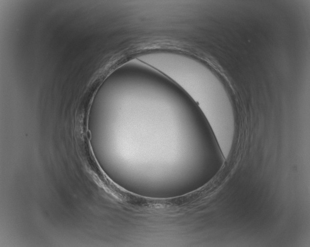 X0000081410585200701120920