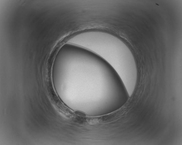 X0000081410587200701120920