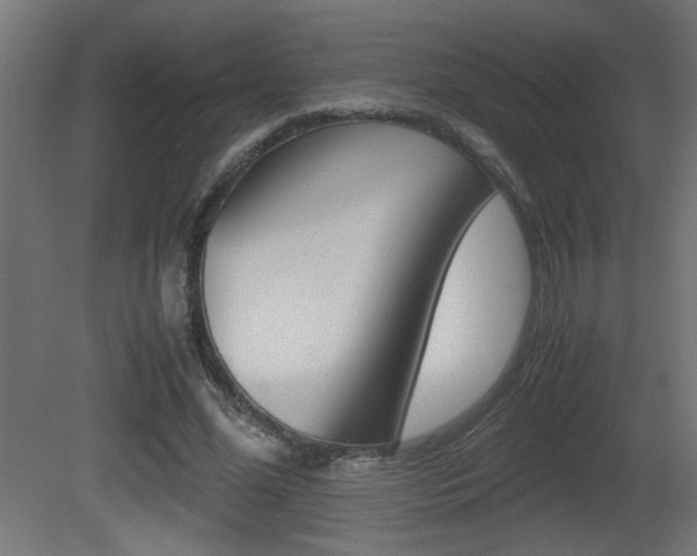 X0000081410588200701120920