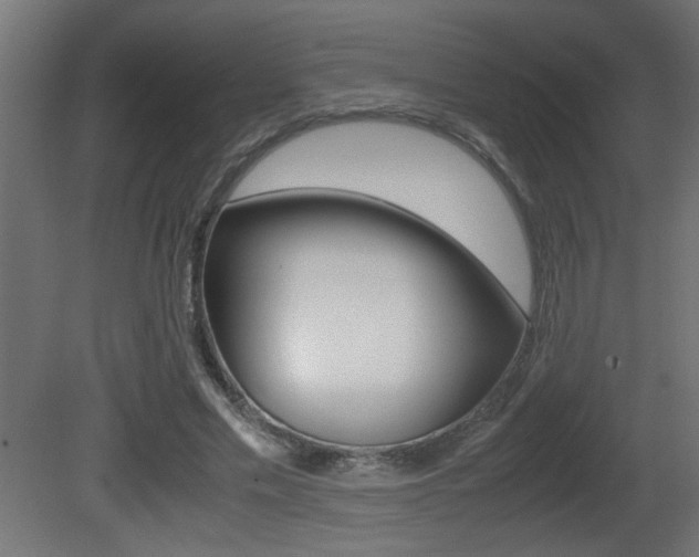 X0000081410589200701120920