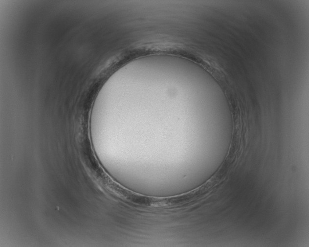 X0000081410591200701120920