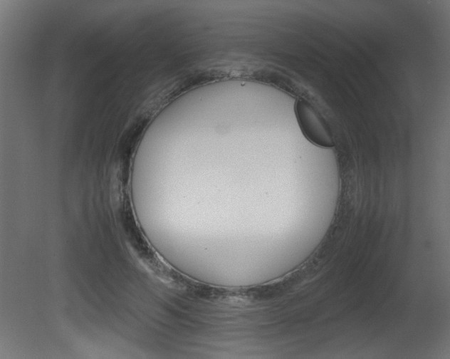 X0000081410594200701120920