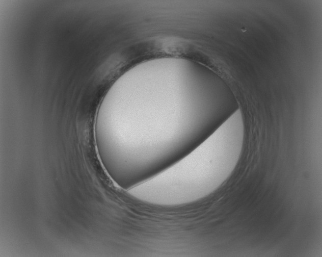 X0000081410595200701120920