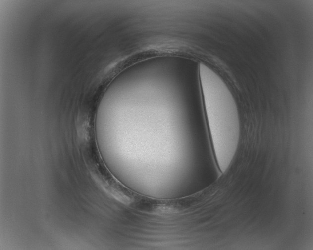 X0000081410596200701120920