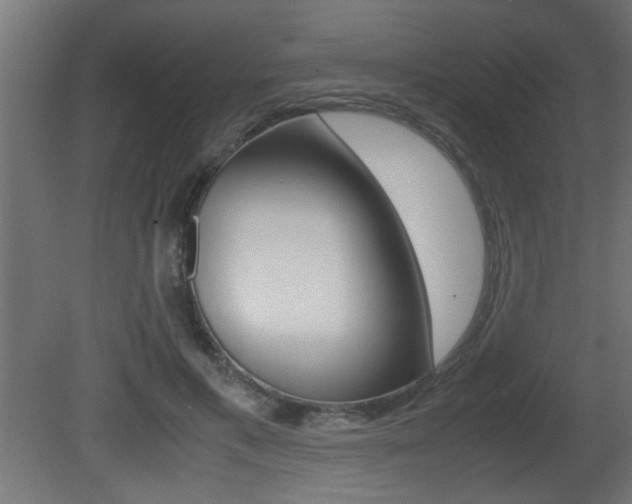 X0000081410597200701120920