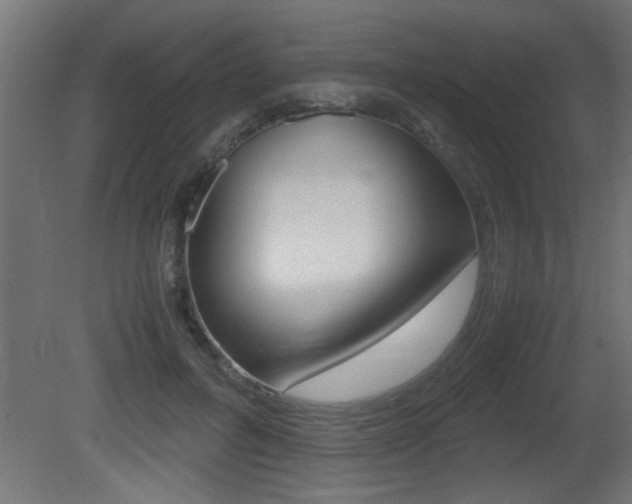 X0000081410600200701120920
