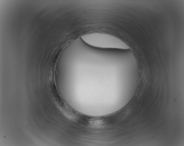 X0000081410602200701120920