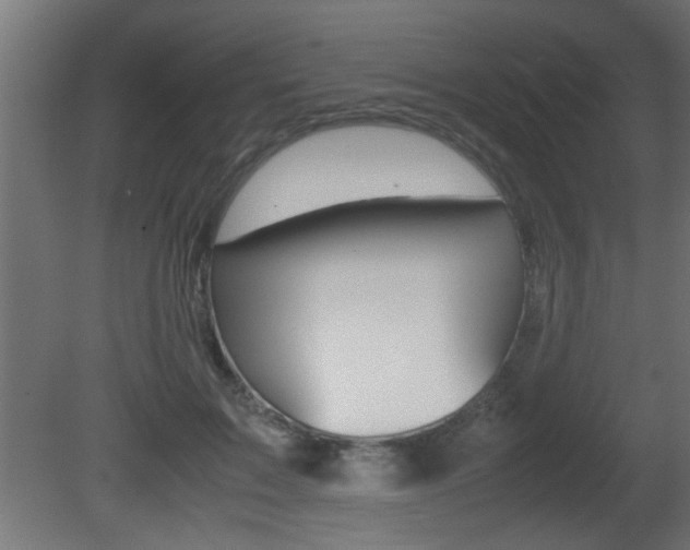 X0000081410603200701120920