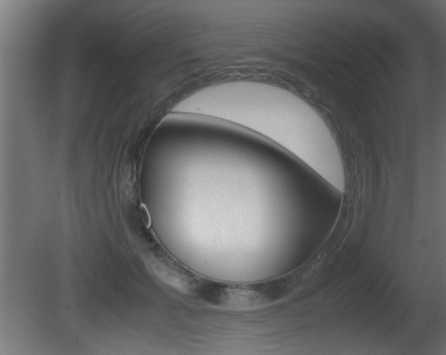 X0000081410605200701120920