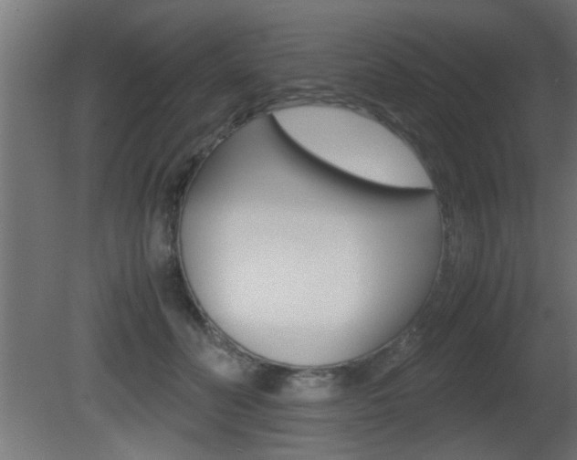 X0000081410606200701120920