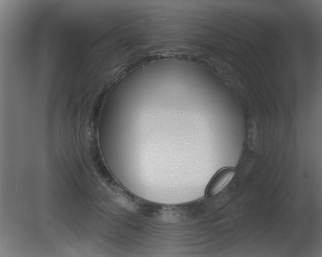 X0000081410608200701120920