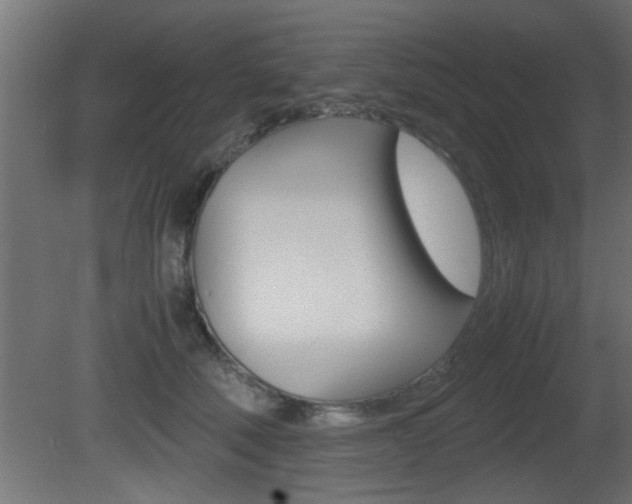 X0000081410610200701120920