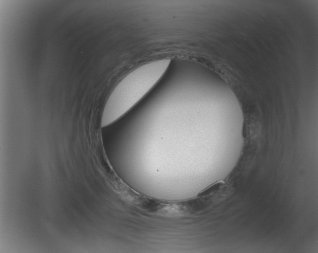 X0000081410611200701120920