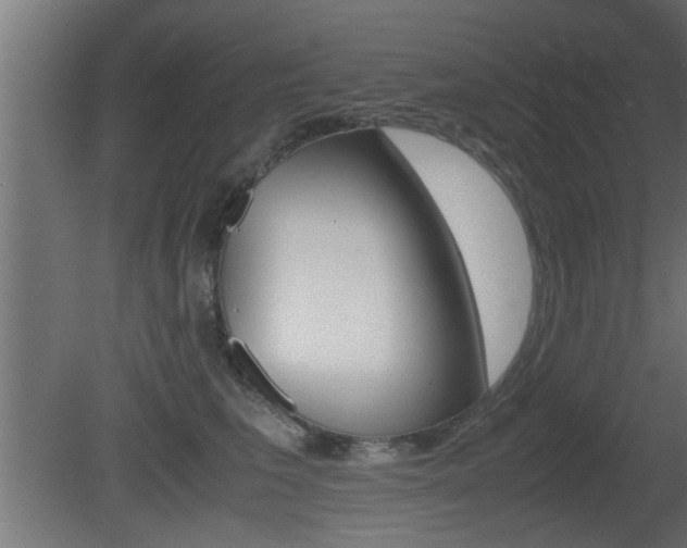 X0000081410613200701120920