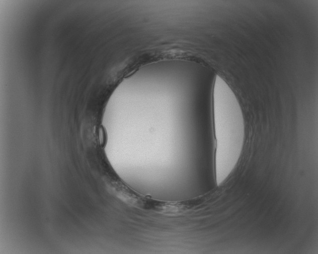 X0000081410615200701120920