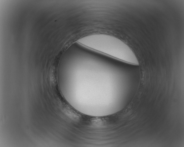 X0000081410616200701120919