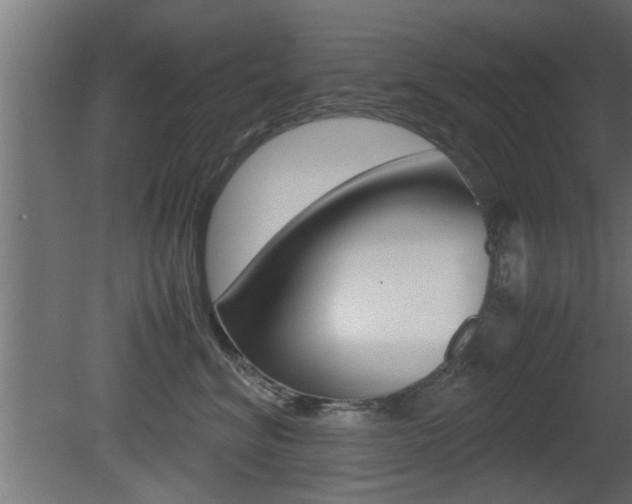 X0000081410620200701120919