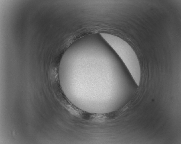 X0000081410621200701120919