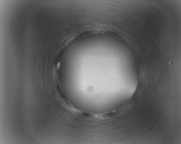 X0000081410623200701120919