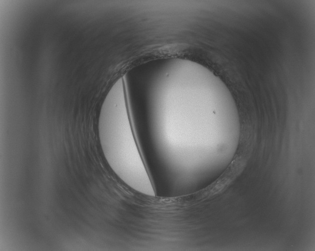 X0000081410624200701120919