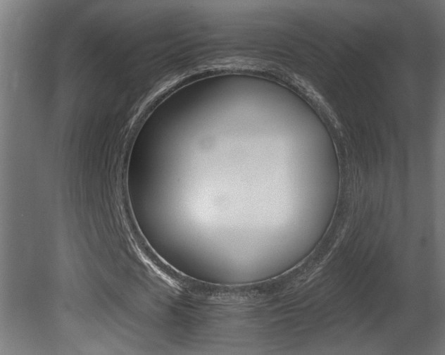 X0000081410625200701120919
