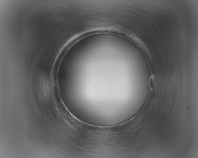 X0000081410628200701120919