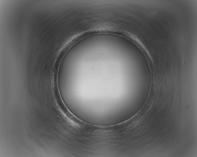 X0000081410629200701120919