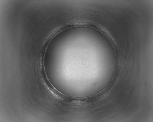 X0000081410633200701120919