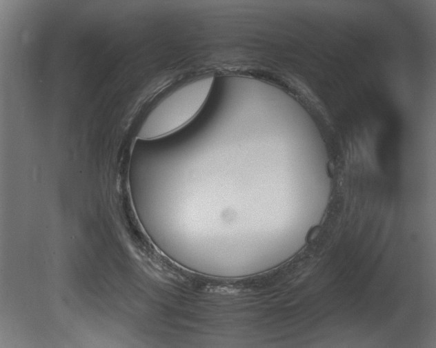 X0000081410635200701120919