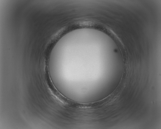X0000081410637200701120919