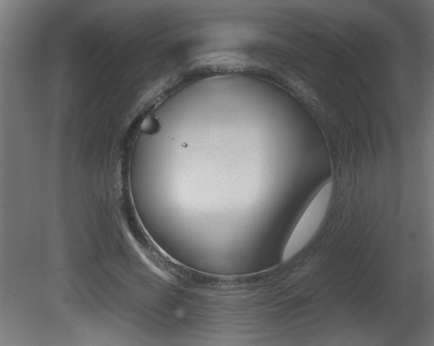 X0000081410638200701120919