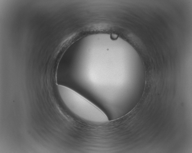 X0000081410640200701120919