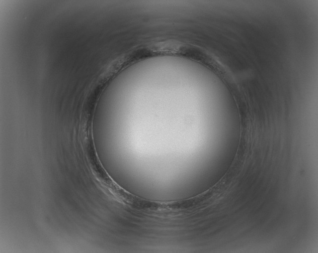 X0000081410641200701120919