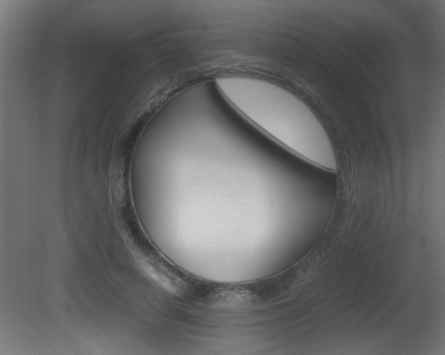 X0000081410642200701120919