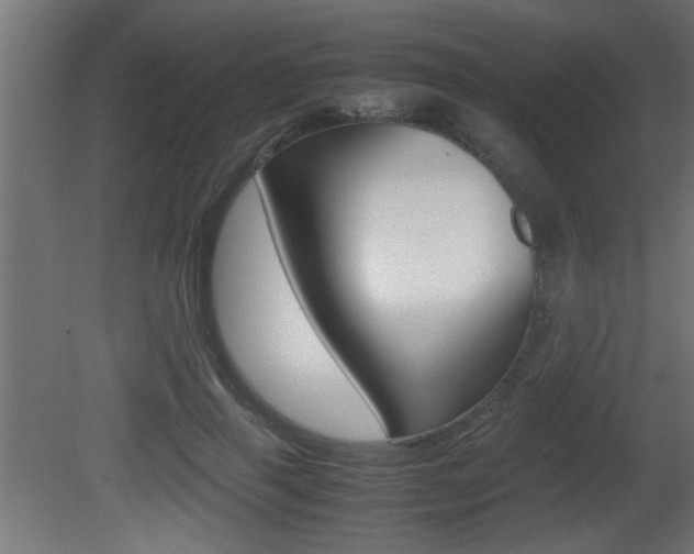 X0000081410645200701120919