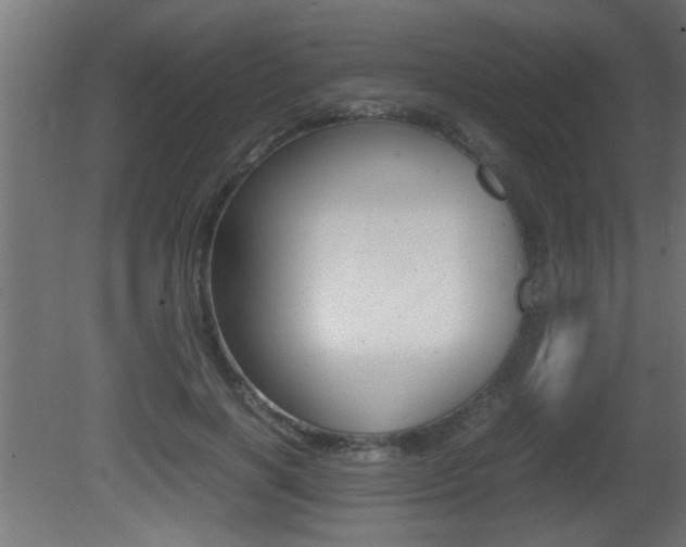 X0000081410646200701120919