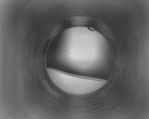 X0000081410647200701120919