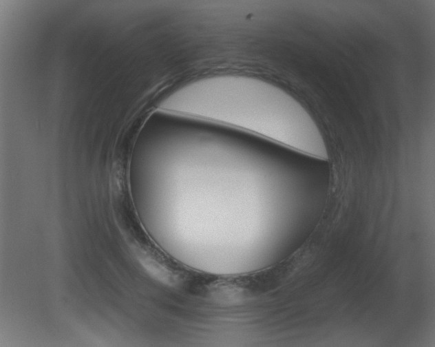 X0000081410648200701120919