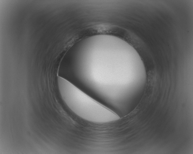 X0000081410650200701120919