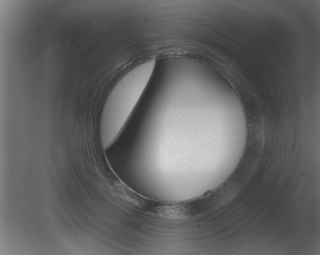 X0000081410652200701120919