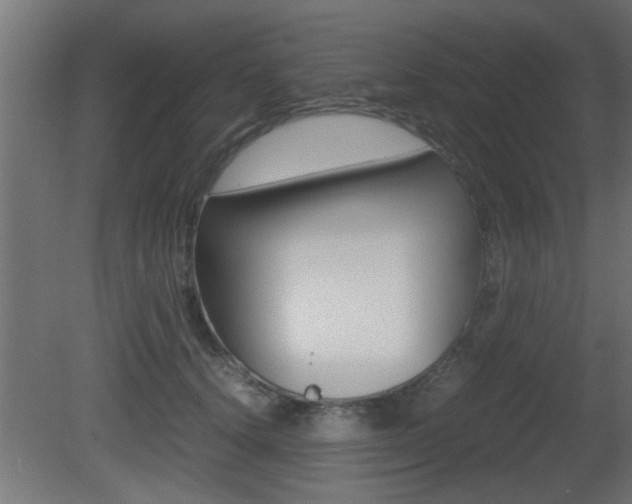X0000081410656200701120919