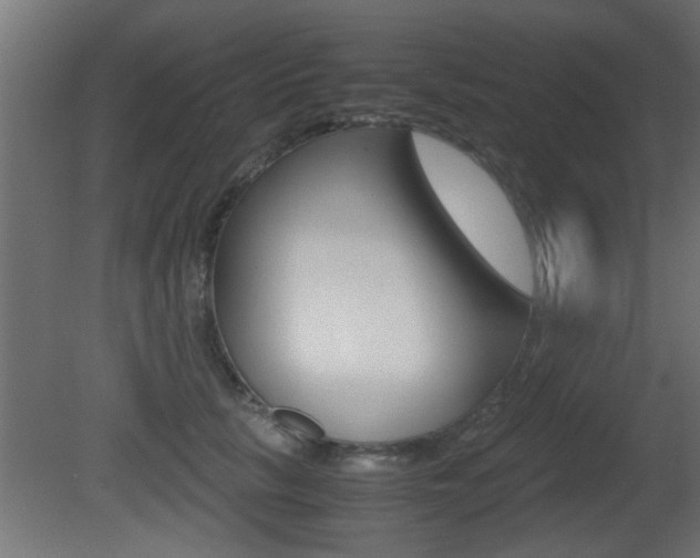 X0000081410657200701120919